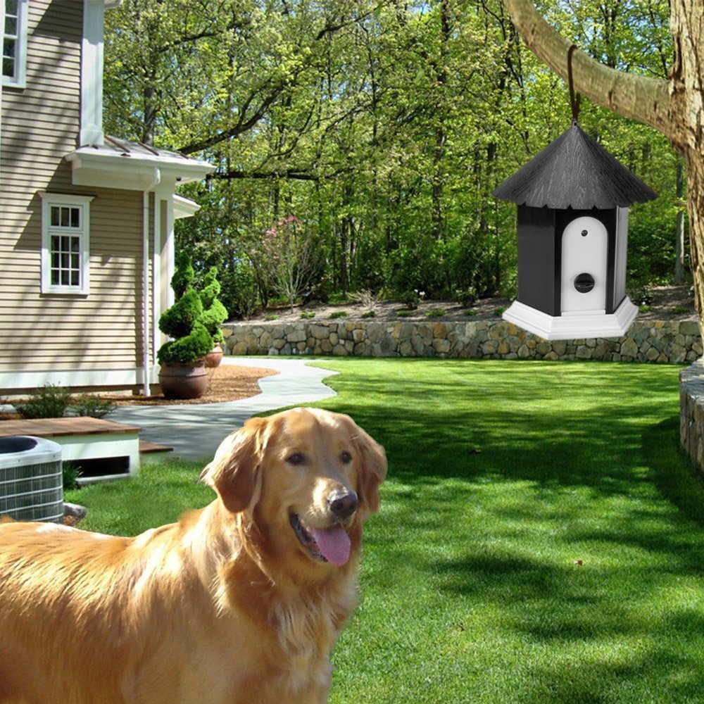 2015-Pet-Products-Puppy-Outdoo