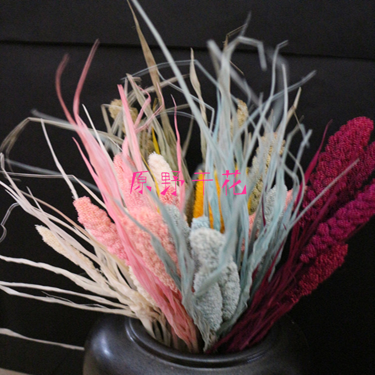 【小米】云南干花干草 天然植物干花 产地直销 特价批发