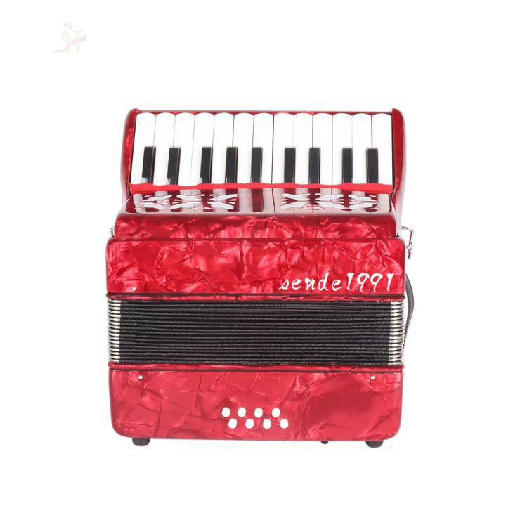 手风琴笛驰塞尔玛德森手风琴48贝司120贝斯成人初学者儿童款乐器