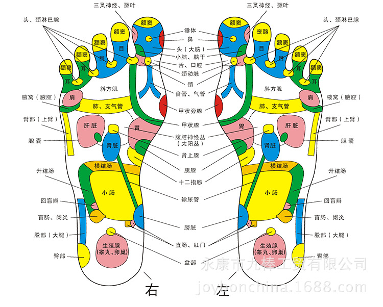 503-Female Mass Machine Details 20170930_10