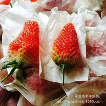 厂家生产 纸袋 葡萄套袋 育果袋 葡萄异形袋 加工定制