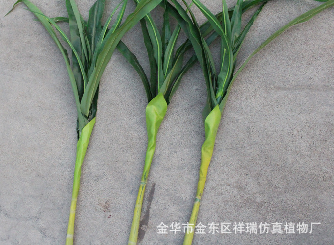 鍗曟灊鐢樿敆鍙??.8绫??