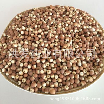 厂家直销广东肇实 芡实 新小个8-9# 鸡头米 各种规格芡实 大货|ru