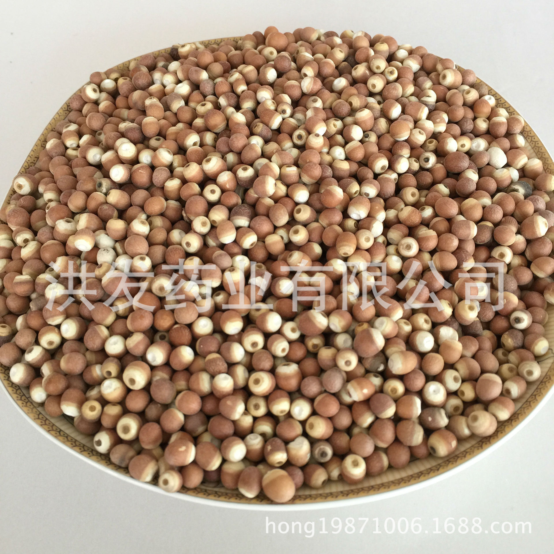 厂家直销广东肇实 芡实 新小个8-9# 鸡头米 各种规格芡实 大货|ru