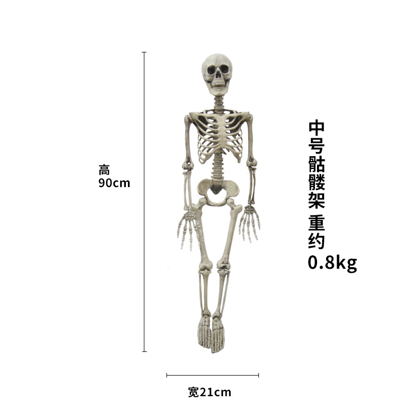 Halloween terror apoyos esqueleto humano casa embrujada Cámara horror cadáver esqueleto plástico
