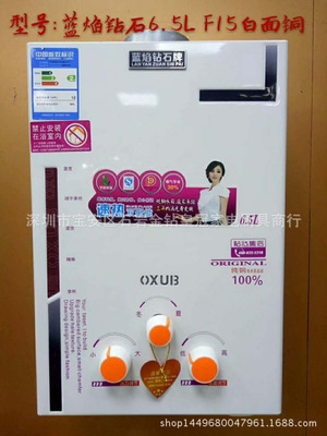 Manufactor wholesale Gas water heater LPG household Gas Shower Room heater Tankless heater