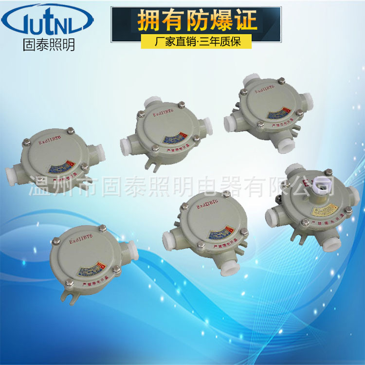BHD51-DN20三通防爆接线盒厂家直销 IIBIIC铸铝接线盒 防爆吊灯盒