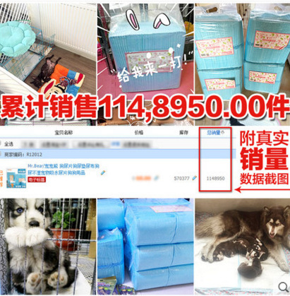 Pet Pet Bear Puppy Diapers 100 Pads Dog Potty Mat Training Pads Pet Water Absorbent Mat Thickened Cat Pads Deodorizing Supplies