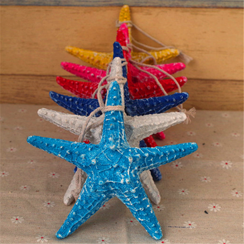 13CM海星1