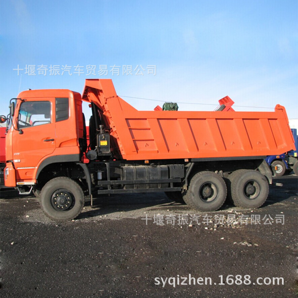 6X6ж6X6ǰԽҰж۸