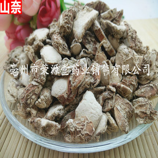 �������l ����  ɳ�� ɳ��Ƭ  ��ζ�{�� �a�����l ��؛����