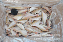 ���� �S��ֱ�N �΃���ȥ����ȥ�t���~���tɼ�~�����~��