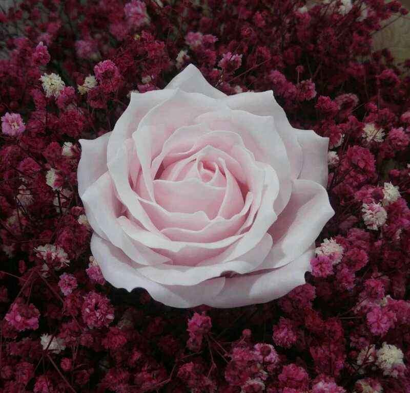 微信图片_20170504104421