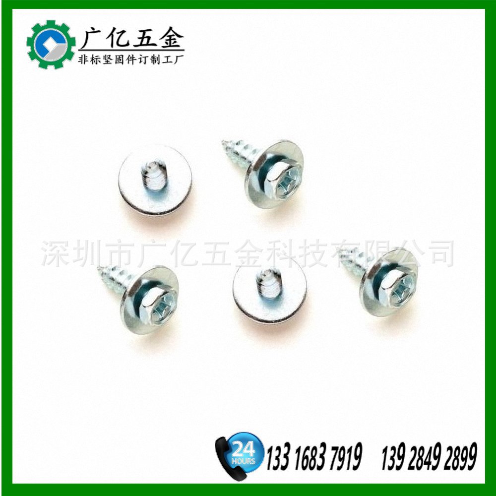 广东工厂  不锈钢螺丝 电动五金工具螺丝配件
