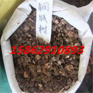 �²Ɇ̹�ľ�~�X���� ��� Ұɼ �h־�N�Ә�Ƥ�����|����ă�
