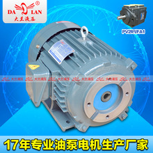 ���mDALAN5HP���SFA1Һ��늙C PV2R1�ͱÌ���늙CDL-132S-4-5.5KW