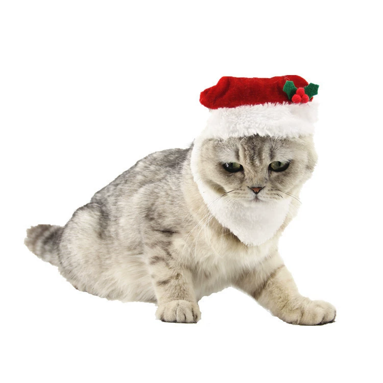 Европейский и американский Санта-Клаус бородатая собака шляпа Ji Zaizi Праздничное платье Фабрика акриловая Удобная кошка Рождественская шляпа
