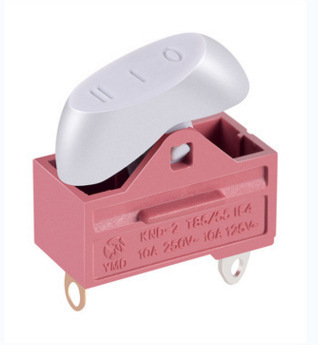 Switch key, hair dryer