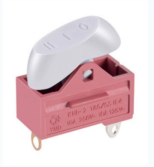 Switch key, hair dryer