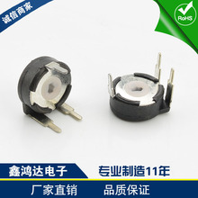 PT10西班牙电位器