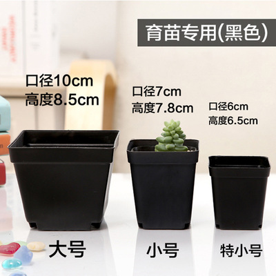 Plastic pots Black black Succulent Seedling Basin Transplanting Transplant Dedicated disposable Flower pot wholesale