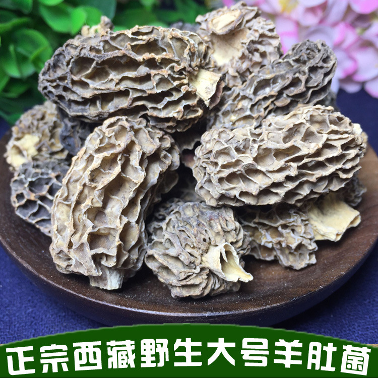 新货批发西藏大号羊肚菌干货生态羊肚菌干250g 招代理