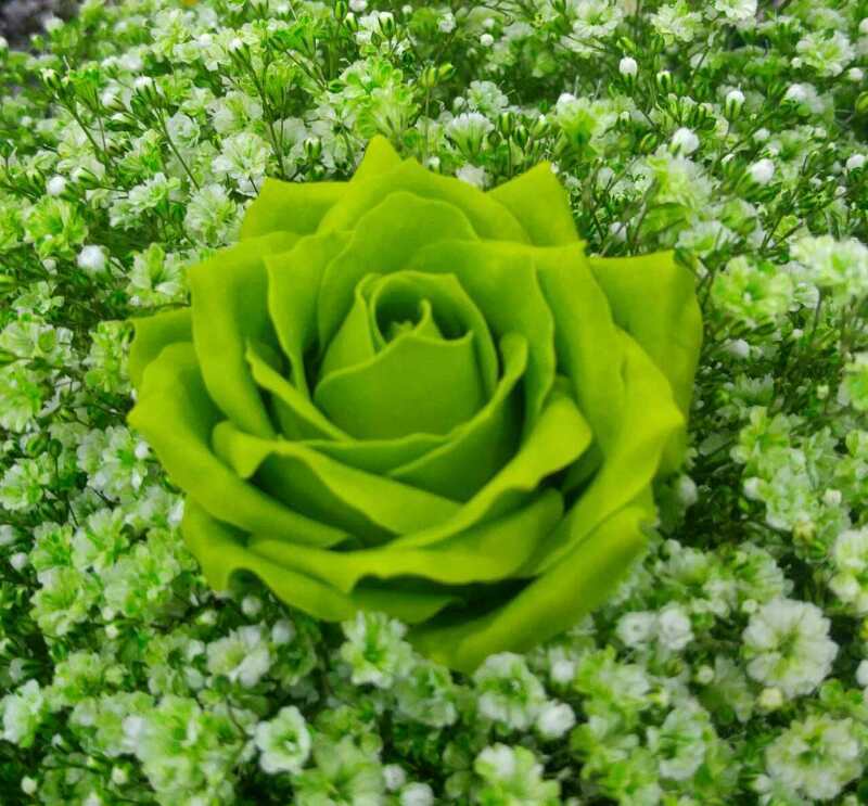 微信图片_20170504104531