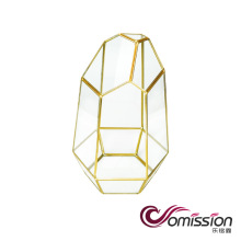 天津多肉植物_天津多肉植物价格_优质天津多