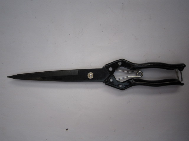 现货羊毛剪 抛光电泳兽用修毛剪 弹簧手动羊毛剪刀工具批发