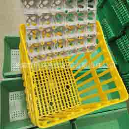厂家生产36枚塑料种蛋周转箱抗摔塑料种蛋筐鸡蛋周转箱图片