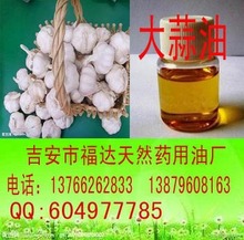 大蒜油  大蒜精油厂家直销量大从优