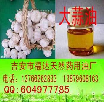 大蒜油  大蒜精油厂家直销量大从优