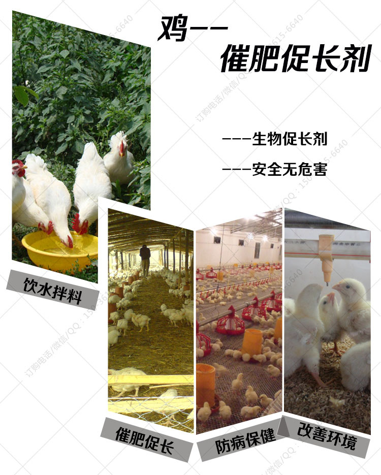 催肥促长剂