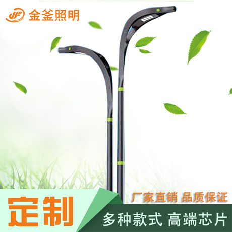 新款LED户外路灯 环保节能改造照明灯 防水防雷新农村高杆路灯