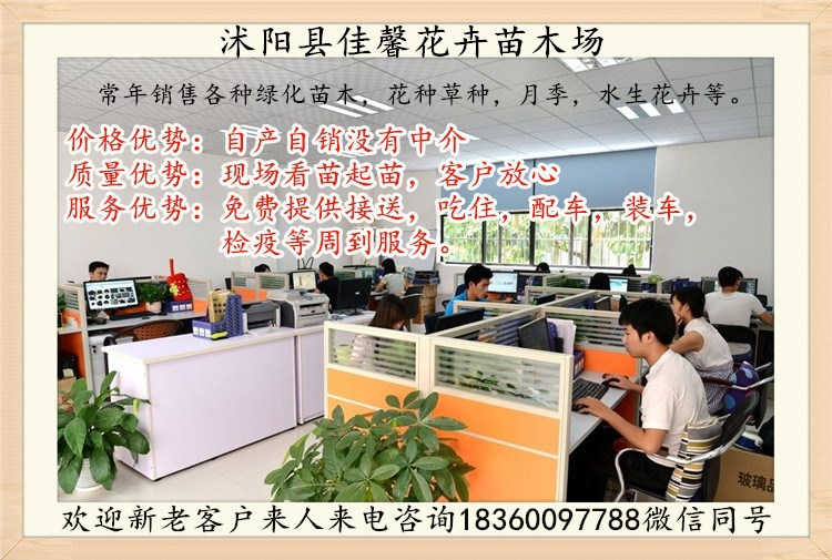 858585_副本_副本