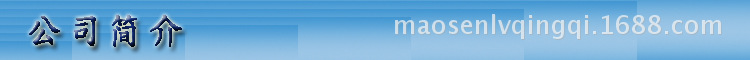 公司简介