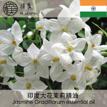 大花茉莉精油Jasmine gradiflorum essential oil台湾朴真