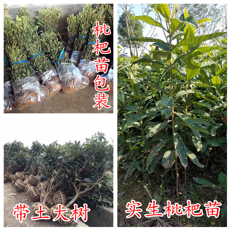 20170729145914_副本