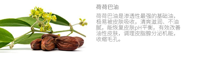 牛奶玫瑰详情-恢复的_06