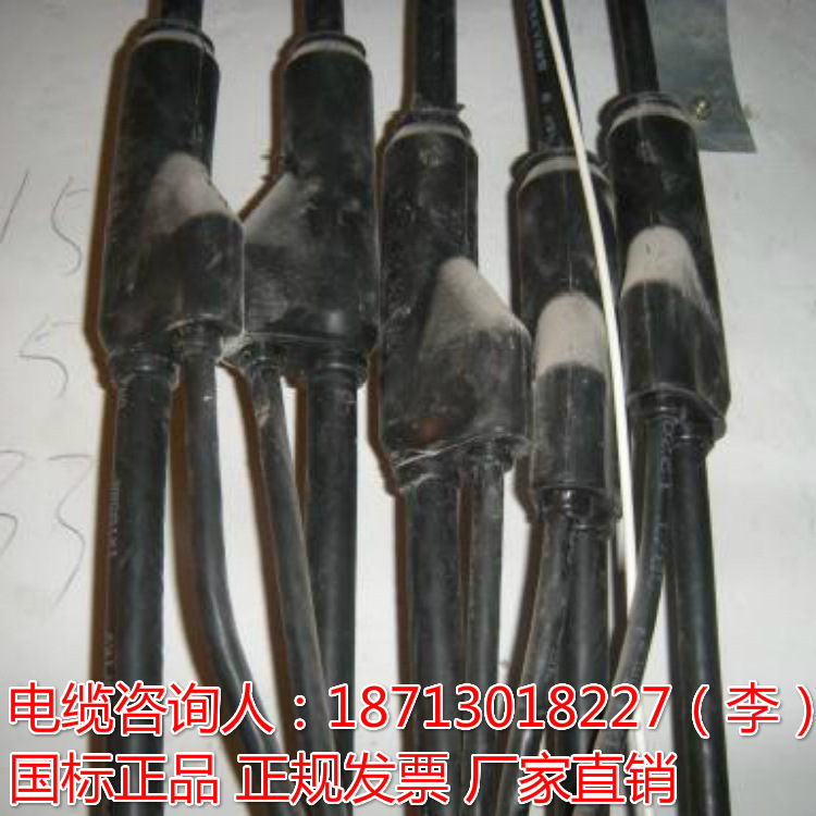 预分支电缆 阻燃 耐火