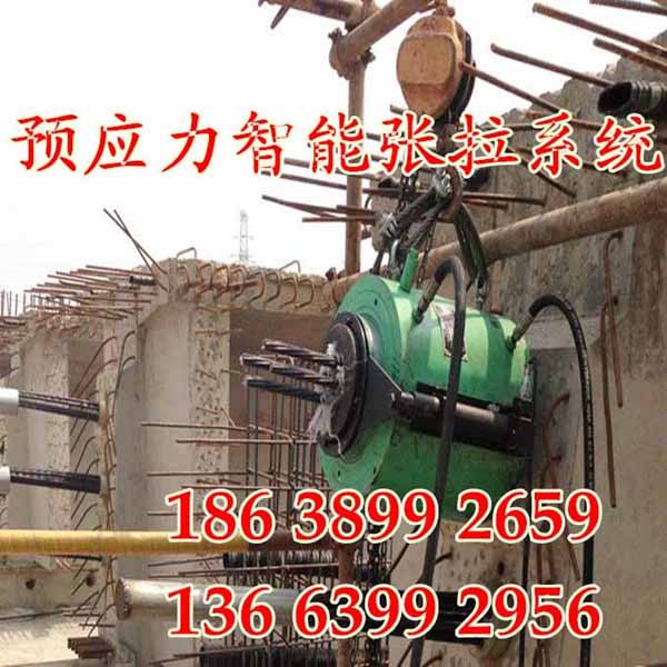 timg1_����_����