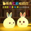 Cute rabbit, silica gel colorful night light, cartoon LED lights, remote control, anti-stress