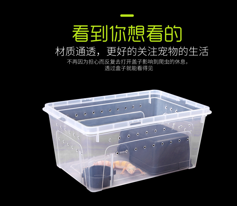 掌上明珠-宠物盒_04