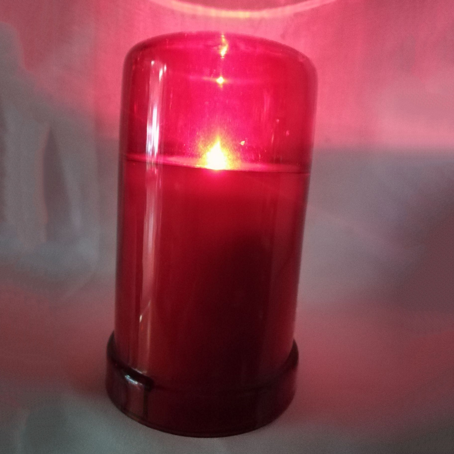 7329246241_621223111