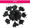 Factory direct selling chicken tail hair jewelry decorative head flower chest flower mask DIY handmade craft auxiliary materials color feathers