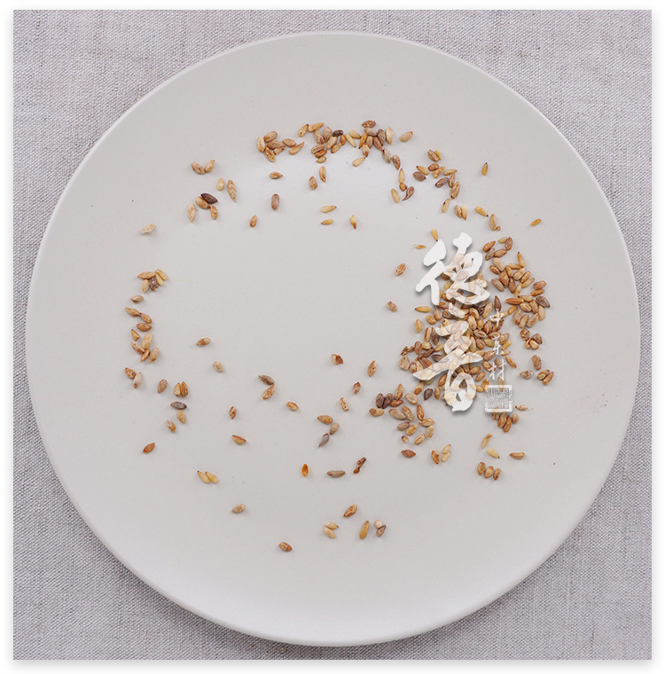 Platycladus Seed Bai Zi Ren 500g Dried Platycladus orientalis Seeds Traditional Herbal Ingredient quality and texture