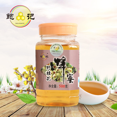 鲍记野桂花蜂蜜500g,贴牌生产/诚招代理/厂家批/发量大从优