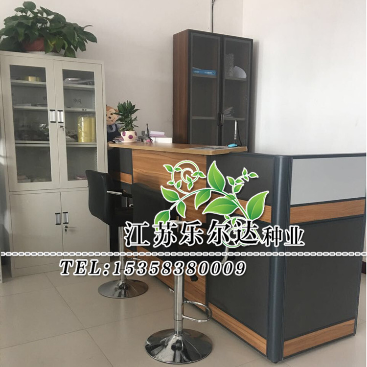 3636703374_246424275