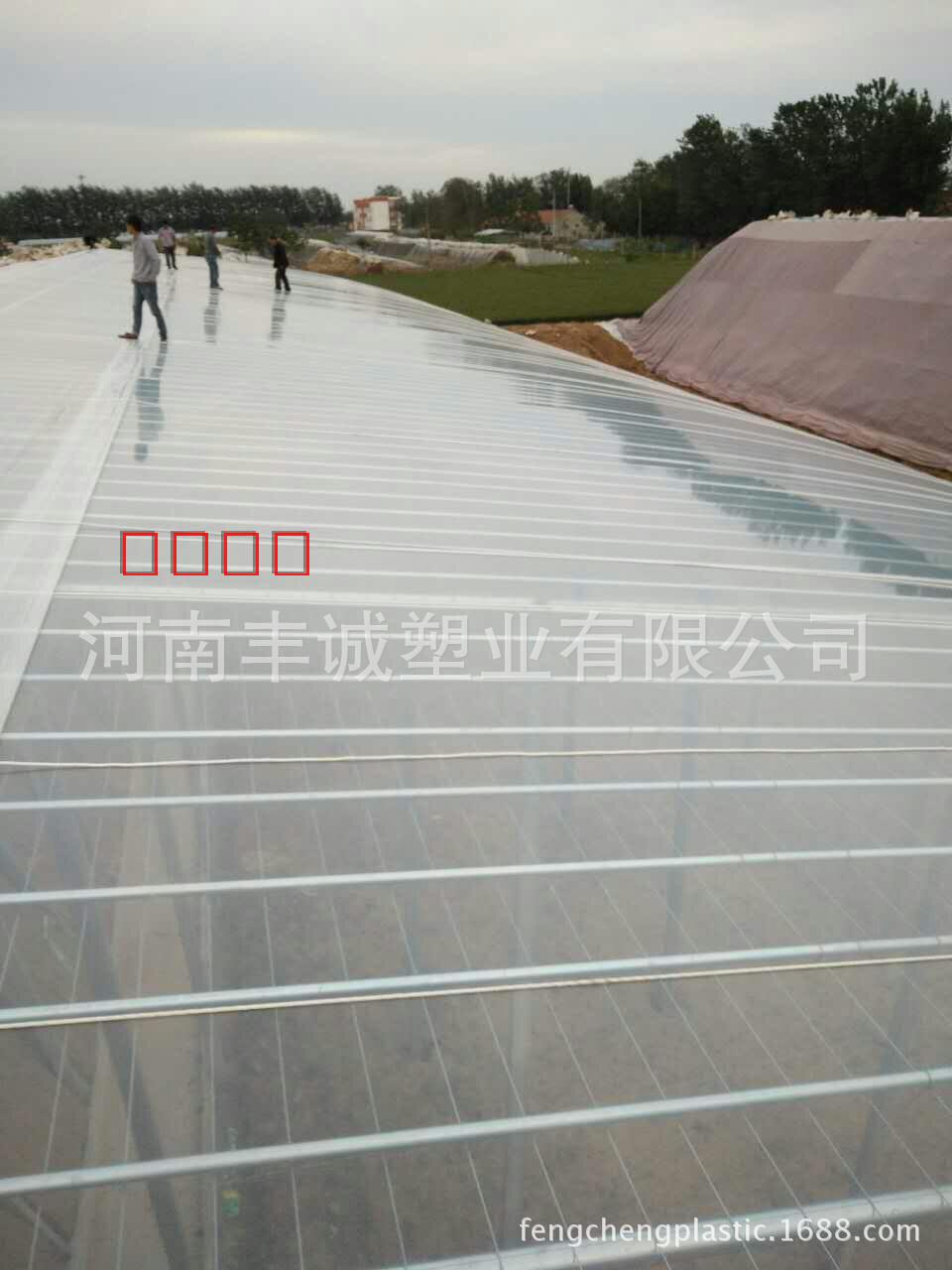 销售塑料大棚膜 透明保温大棚膜 无滴大棚膜农用多功能薄膜