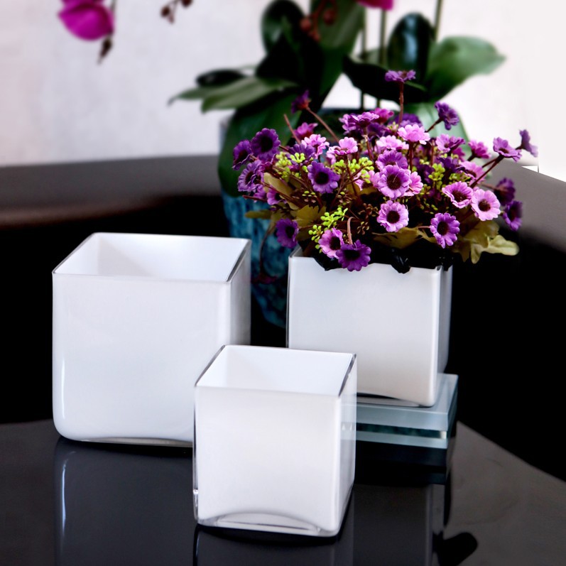 黑白色正方形水培玻璃花瓶透明方缸绿萝睡莲铜钱草水培玻璃花盆 阿里巴巴